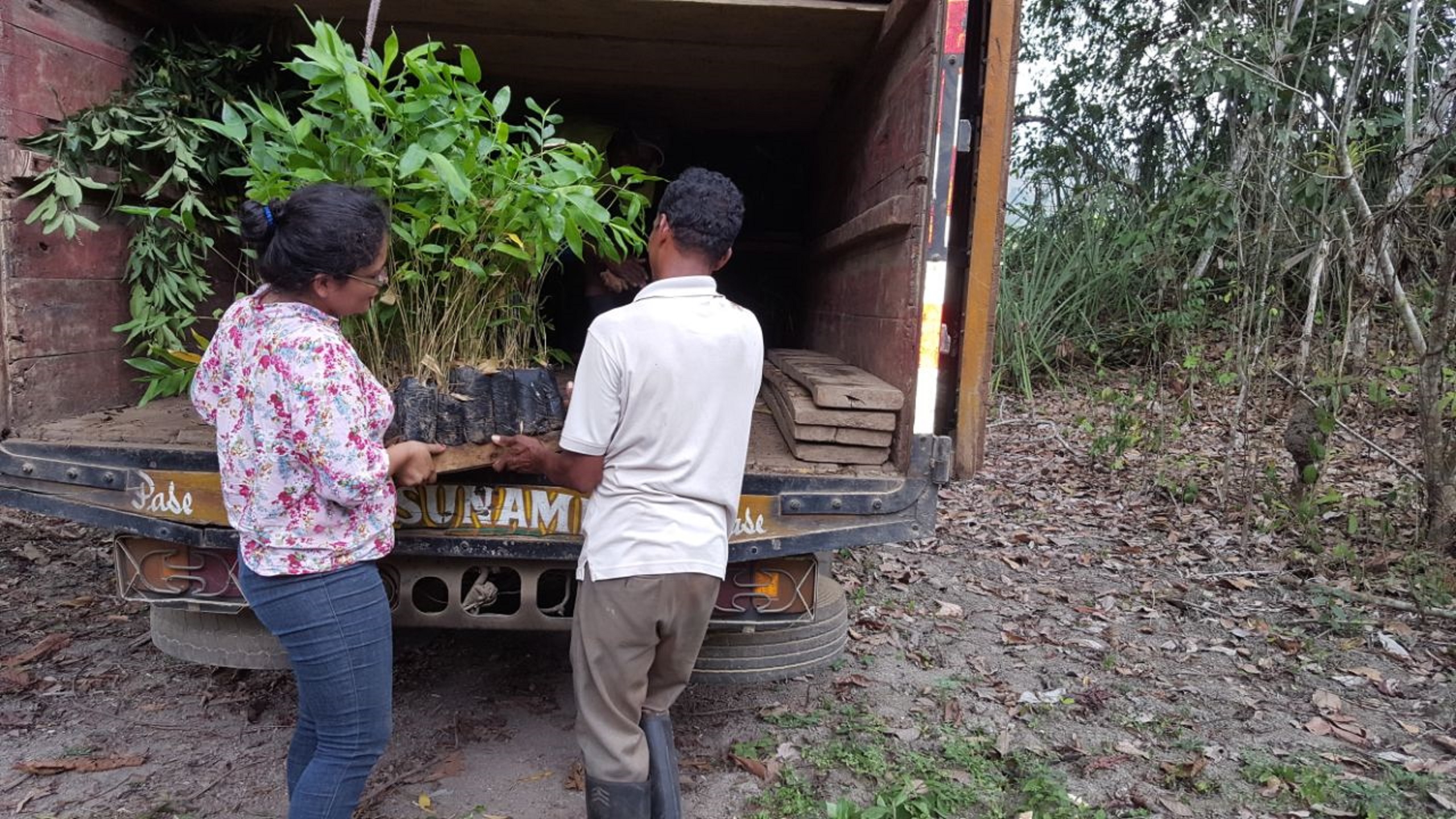jonge boompjes worden uit vrachtwagen gehaald voor herbebossing