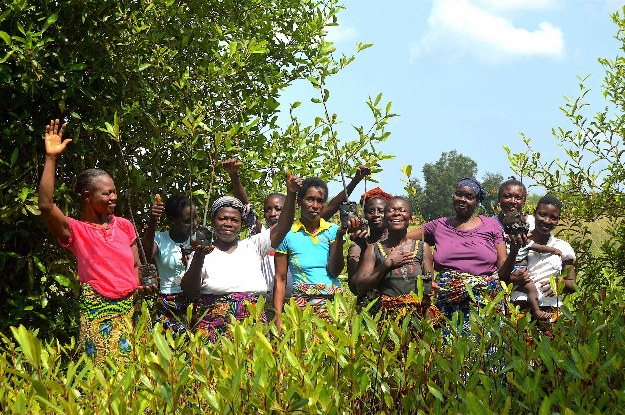 Eco-Bénin organise des activités de reboisement. (c) Eco-Bénin