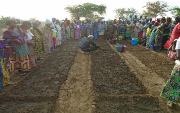 Mali Partner CSPEEDA water voor landbouw