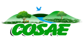 Partner COSAE DR Congo