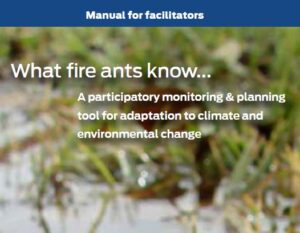 What fire ants know