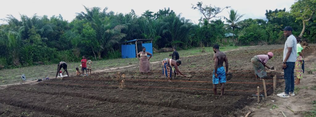 Benin-Lonnava-Agro-ecologie