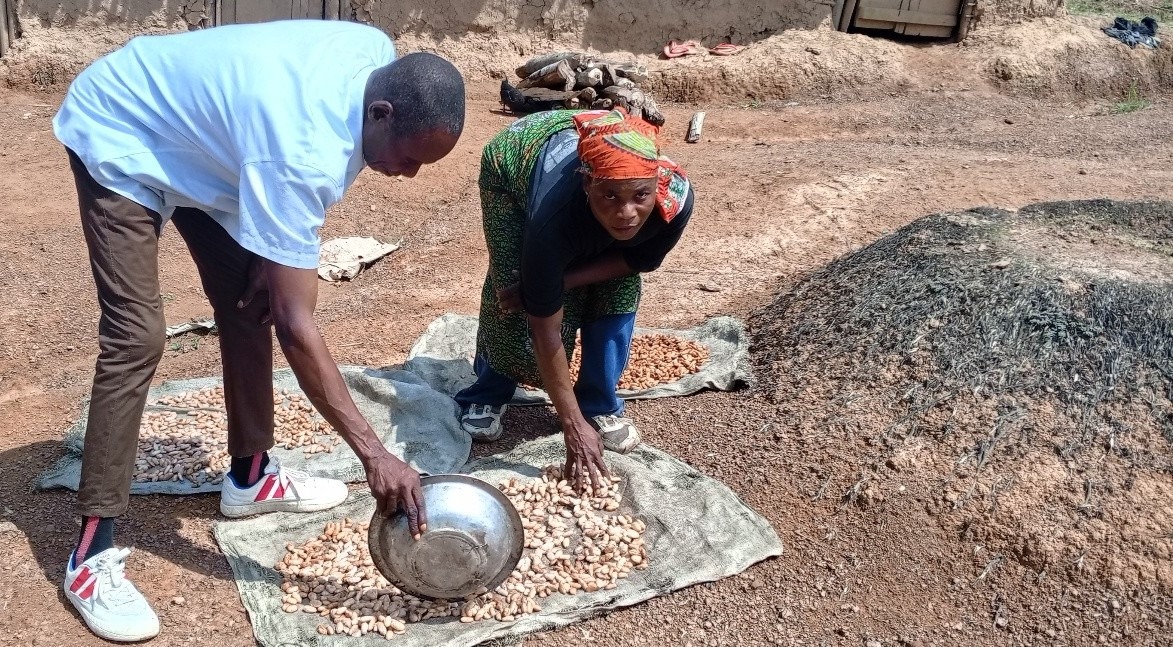 DRC-Cacao Bafwasende
